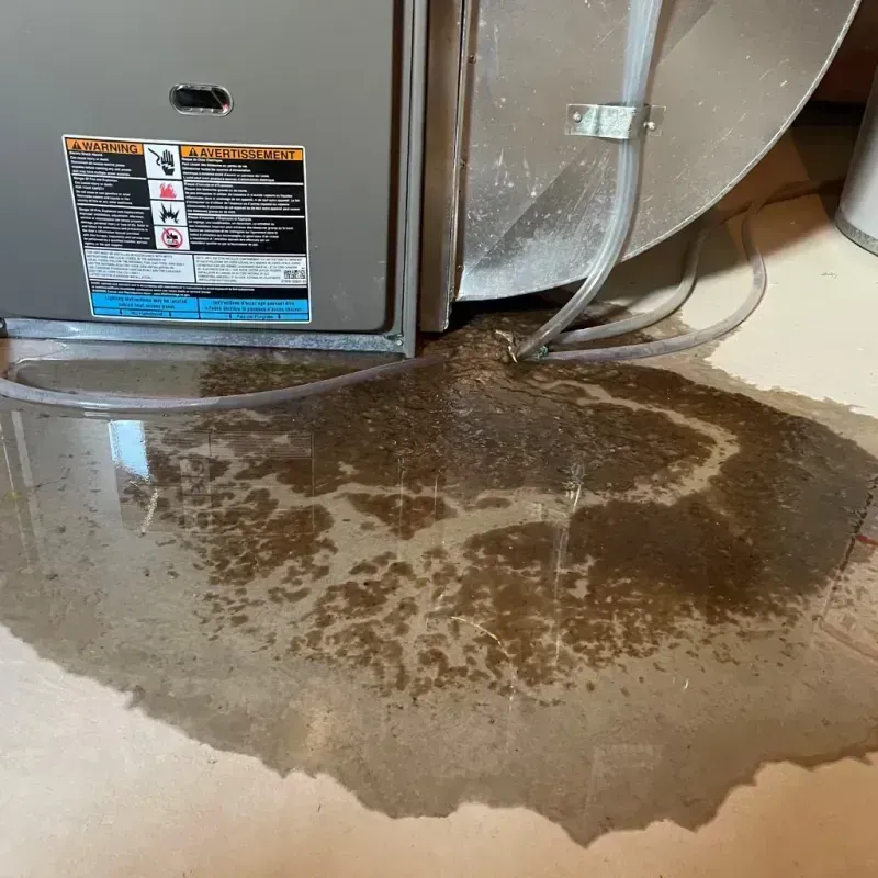 Appliance Leak Cleanup in Johnson County, IN